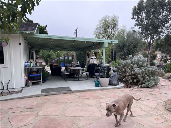 Swan Casa (9/27/2024 - Credits: Robin swan)