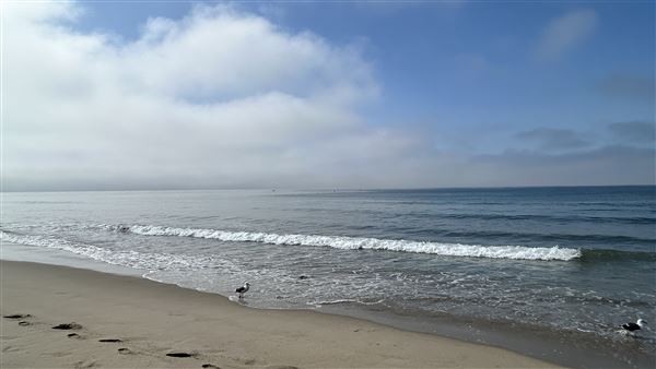 Santa Monica State Beach (SB) / Pacific Park Santa Monica Pier (10/2/2024 - Credits: Brandy Davis)