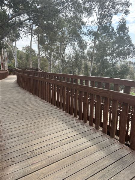 Culver City Park Bill Botts Field - Path up to baseball fields. (10/4/2024 - Credits: Brandy Davis)