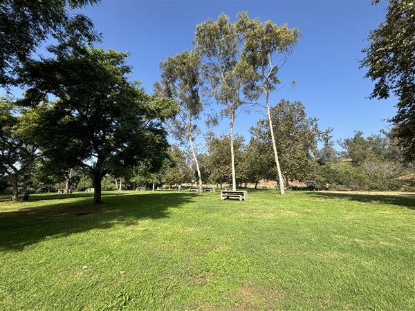 Elysian Park - Angels Point (6/22/2024 - Credits: Brandy Davis)