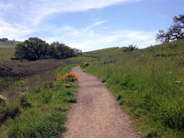 Crane Creek Regional Park (10/29/2024 - Credits: Sonoma County)