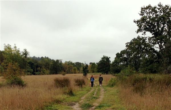 Ragle Ranch Regional Park (10/29/2024 - Credits: Sonoma County)