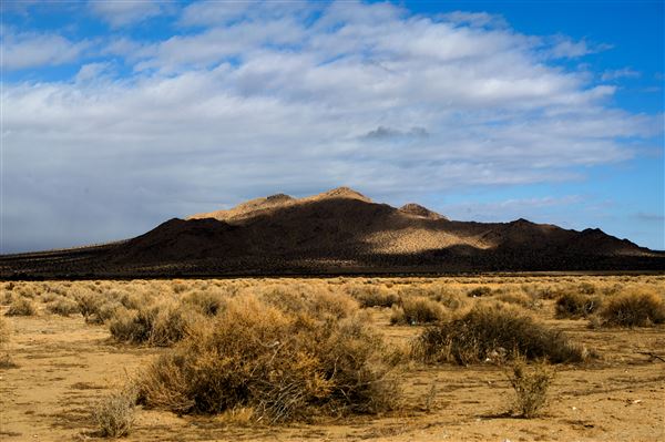 Saddleback Butte State Park (SP) (2/13/2012 - Credits: Brian Baer)