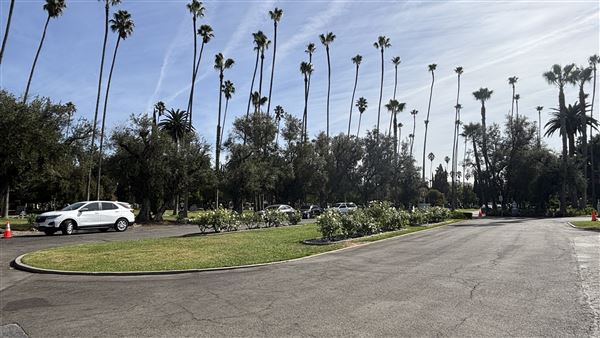Hollywood Forever Cemetery (11/7/2024 - Credits: Brandy Davis)