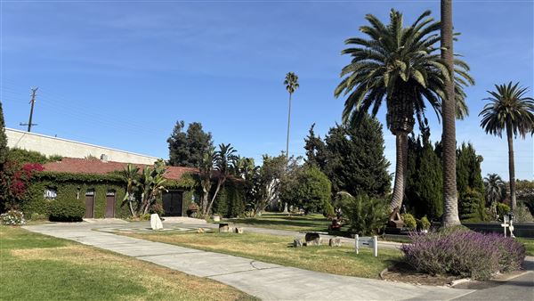 Hollywood Forever Cemetery (11/7/2024 - Credits: Brandy Davis)