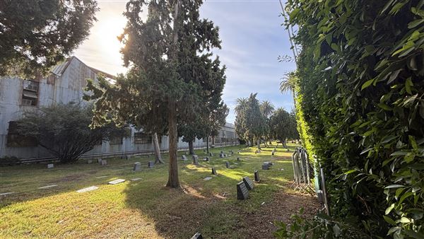 Hollywood Forever Cemetery (11/7/2024 - Credits: Brandy Davis)