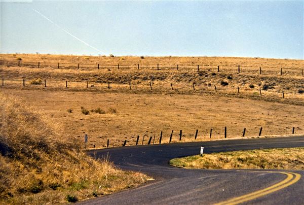 Cerro Noroeste Road - Cerro Noroeste Road (3/10/2008)