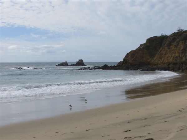 Crescent Bay Beach (11/7/2024 8:41:08 PM - Credits: City of Laguna Beach/California Beaches)