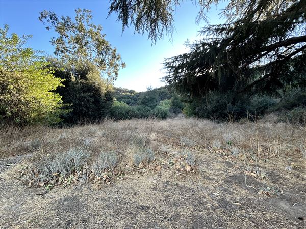 Serrania Park (11/8/2024 - Credits: Brandy Davis)