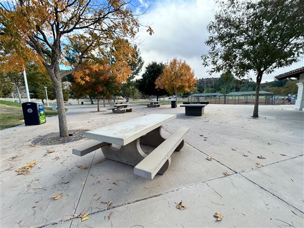 Central Park (11/15/2024 - Credits: Brandy Davis)