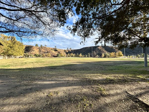 Central Park (11/15/2024 - Credits: Brandy Davis)