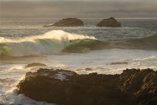 Garrapata State Park (SP) (10/15/2024 - Credits: Brian Baer)