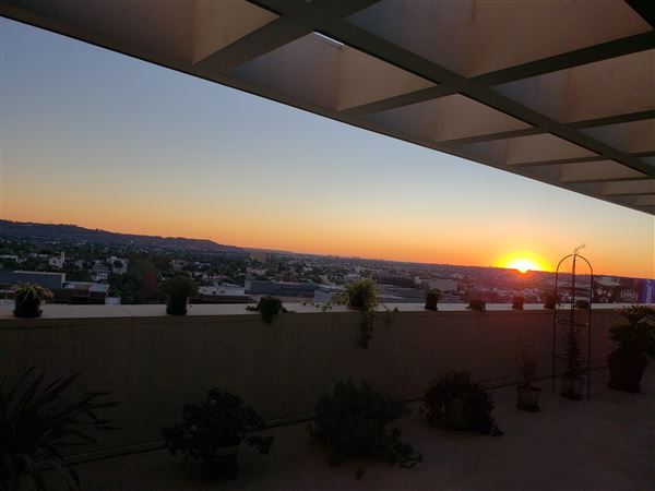 5757 Wilshire Blvd., Penthouse 20, Miracle Mile 90036 (12/20/2024 - Credits: Pamela Koslyn)