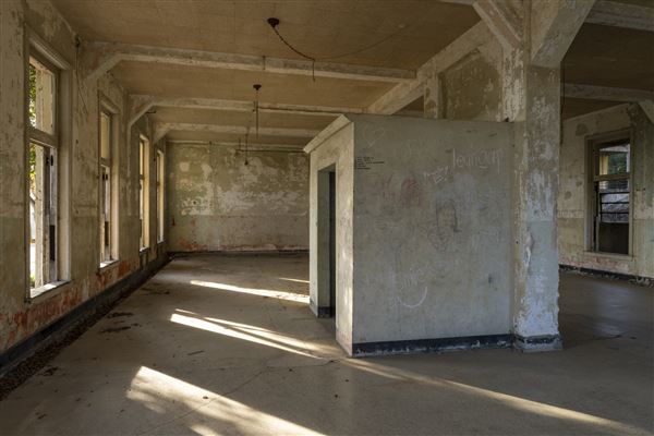 Angel Island State Park (SP) (12/10/2024 - Credits: Brian Baer)