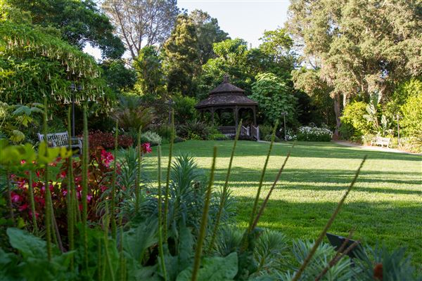 San Diego Botanic Garden (2/20/2025 - Credits: San Diego Botanic Garden)