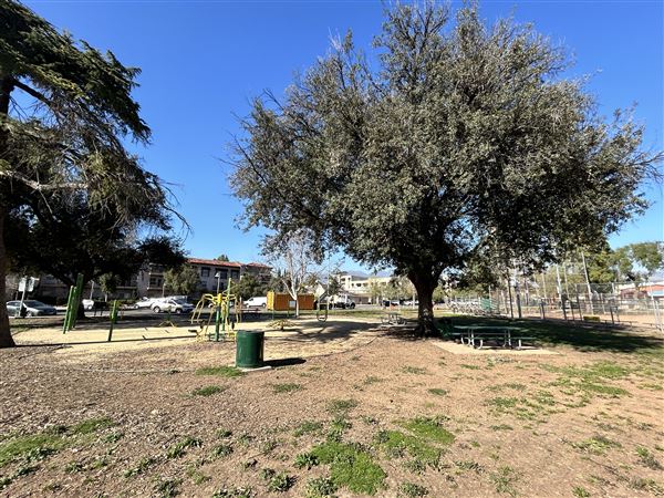 San Fernando Recreation Park (2/24/2025 - Credits: Brandy Davis)