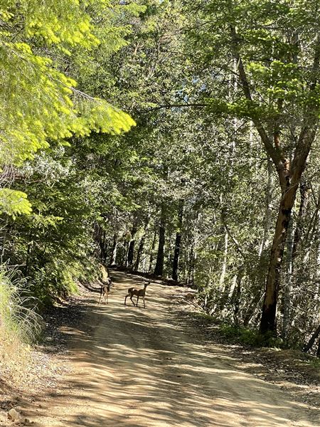Long Creek Ranch (3/5/2025 - Credits: The Larsen Family)