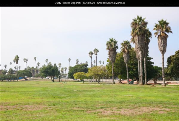 Dusty Rhodes Dog Park (10/18/2023 - Credits: Sabrina Moreno)
