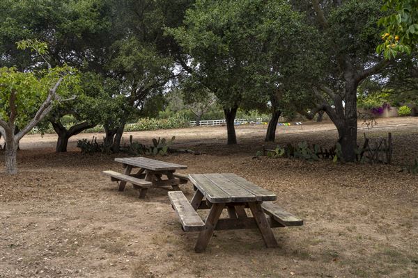 Rancho San Andres Castro Adobe Park Property (10/14/2024 - Credits: Brian Baer)