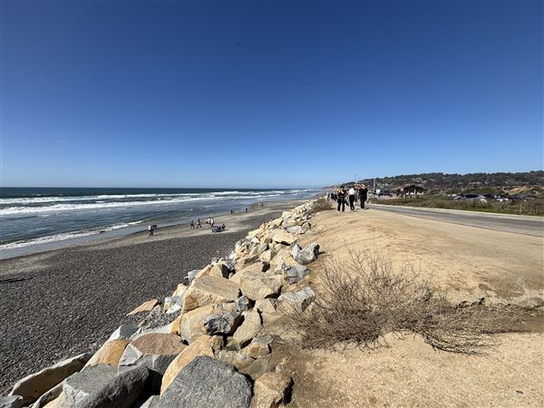 Torrey Pines State Beach (SB) (3/8/2025 - Credits: Brandy Davis)