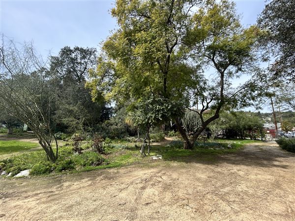 Lummis Home and Gardens (3/17/2025 - Credits: Brandy Davis)