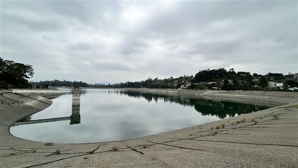 Silver Lake Reservoir (3/27/2025 - Credits: Brandy Davis)