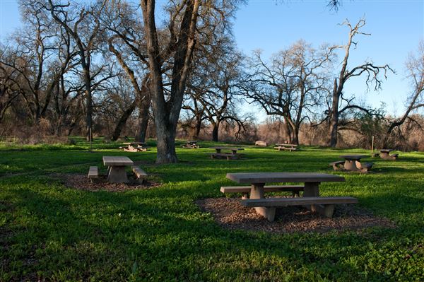 Bidwell-Sacramento River State Park (SP) (3/7/2012 - Credits: Brian Baer)