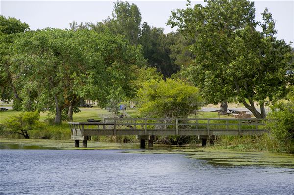 Brannan Island State Recreation Area (SRA) (6/11/2011 - Credits: Brian Baer)