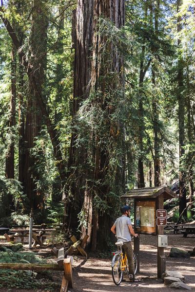 Armstrong Redwoods State Natural Reserve (SNR) (4/17/2025 - Credits: Kelsey Joy Photography)