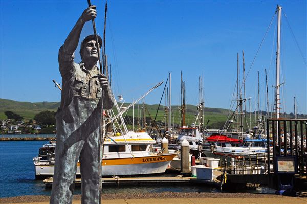 Bodega Bay (4/18/2025 - Credits: Al Mueller)
