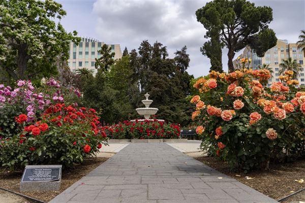California State Capitol Museum (4/13/2022)