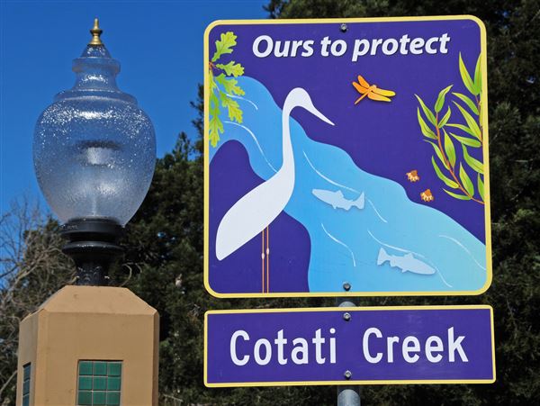 Cotati (4/18/2025 - Credits: Al Mueller)