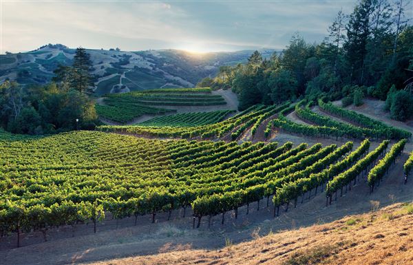 Chalk Hill Estate Vineyards & Winery (4/21/2025 - Credits: Photo Courtesy of Sonoma County)