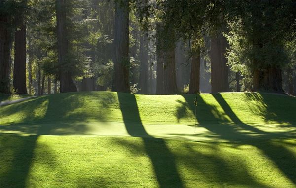 Northwood Golf Club (4/22/2025 - Credits: Photo Courtesy of Sonoma County)