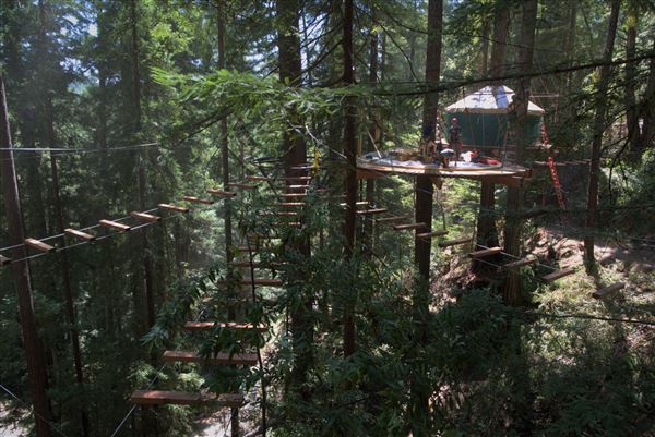 Occidental - Sonoma Canopy Tours - Sonoma Zipline Adventures (4/22/2025 - Credits: Photo Courtesy of Sonoma County)