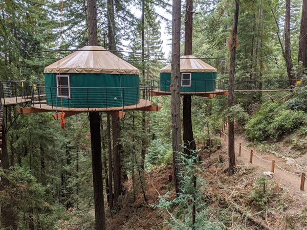 Occidental - Sonoma Canopy Tours - Sonoma Zipline Adventures (4/22/2025 - Credits: Photo Courtesy of Sonoma County)