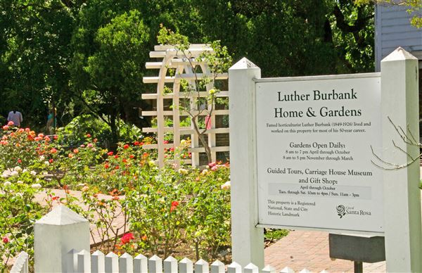 City of Santa Rosa - Luther Burbank Home and Gardens (4/23/2025 - Credits: Al Mueller)