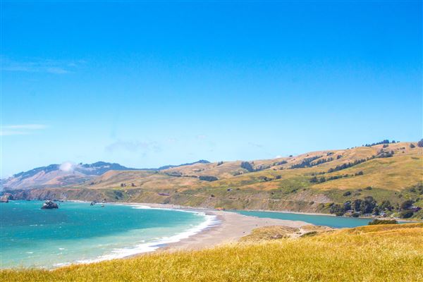 Sonoma Coast State Park (SP) (4/24/2025 - Credits: Spencer Spellman)