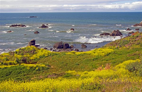 Sonoma Coast State Park (SP) - Kortum Trail Shell Beach - Sonoma Coast State Park (4/24/2025 - Credits: Al Mueller)