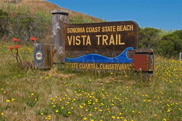 Sonoma Coast State Park (SP) - Vista Trail (4/24/2025 - Credits: Al Mueller)