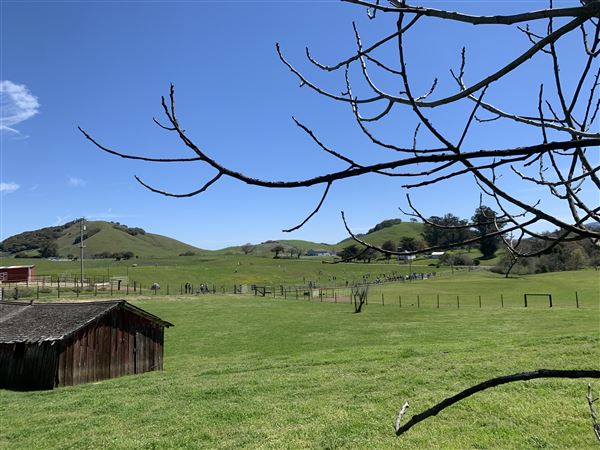 Horick Ranch (4/21/2024 - Credits: submitted by: Todd Horick)