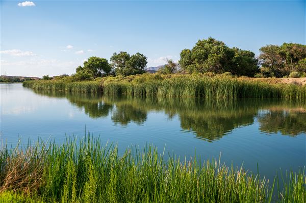 Mojave Narrows Regional Park (5/20/2025 - Credits: County of San Bernardino)