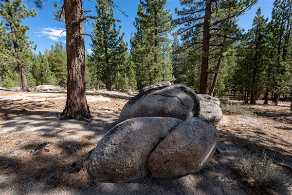 Washoe Meadows State Park (SP) (10/4/2024 - Credits: Brian Baer)