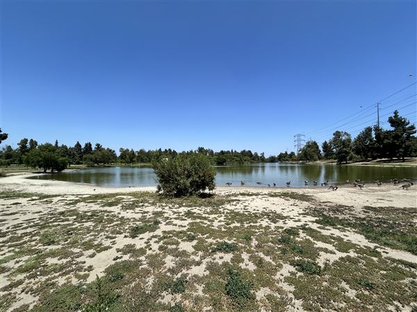 Whittier Narrows Recreation Area / LA County Parks - US Army Corps of Engineers - Legg Lake (6/17/2025 - Credits: Brandy Davis)