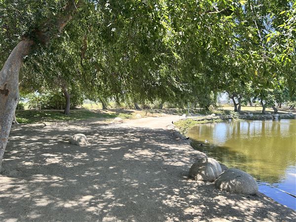 Whittier Narrows Recreation Area / LA County Parks - US Army Corps of Engineers - Legg Lake (6/17/2025 - Credits: Brandy Davis)