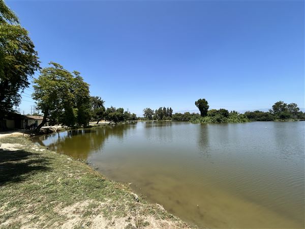 Whittier Narrows Recreation Area / LA County Parks - US Army Corps of Engineers - Legg Lake (6/17/2025 - Credits: Brandy Davis)