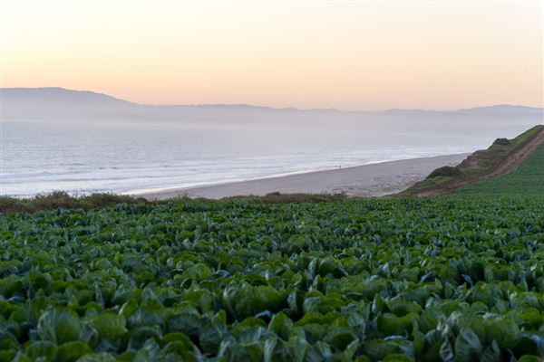 New Brighton State Beach (SB) (9/19/2015 - Credits: Brian Baer)