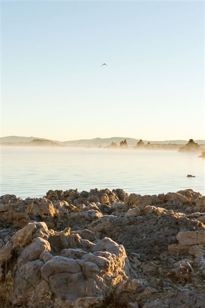 Mono Lake Tufa State Natural Reserve (SNR) / South Tufa Lake - Inyo National Forest (NF) (7/25/2025 - Credits: Visit USA Parks)