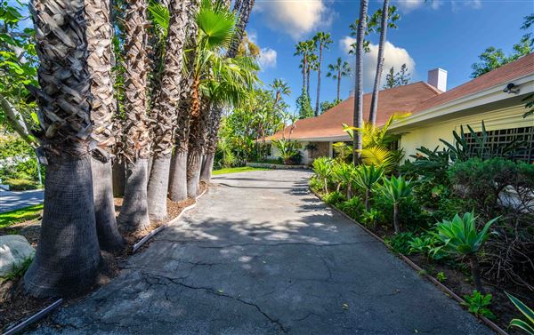 Vintage Hollywood Vibes – Secluded Palm-Lined Mid-Century Pool Oasis Wrapped In Lush Greenery – A Filmmaker’s Dream! (7/29/2025 - Credits: submitted by: Simon Neman)