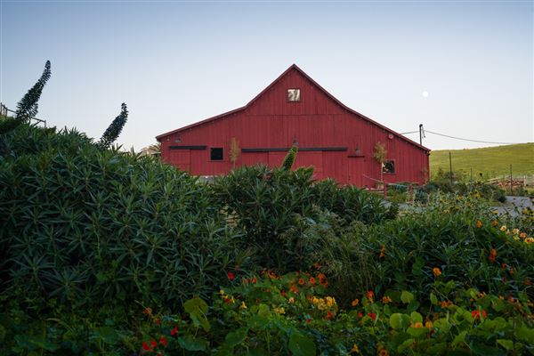 Straus Home Ranch (8/1/2025 - Credits: Jeff Lewis landescapevisuals.com)